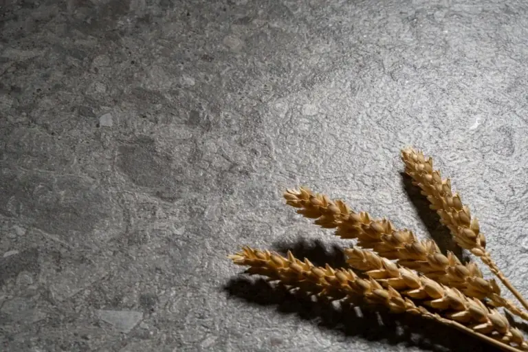 Ceppo di Gre de Ascale aplicado en un proyecto real — imagen 4