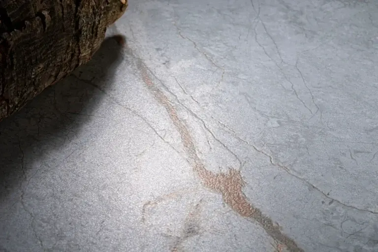 Foresta Blue de Ascale aplicado en un proyecto real — imagen 3