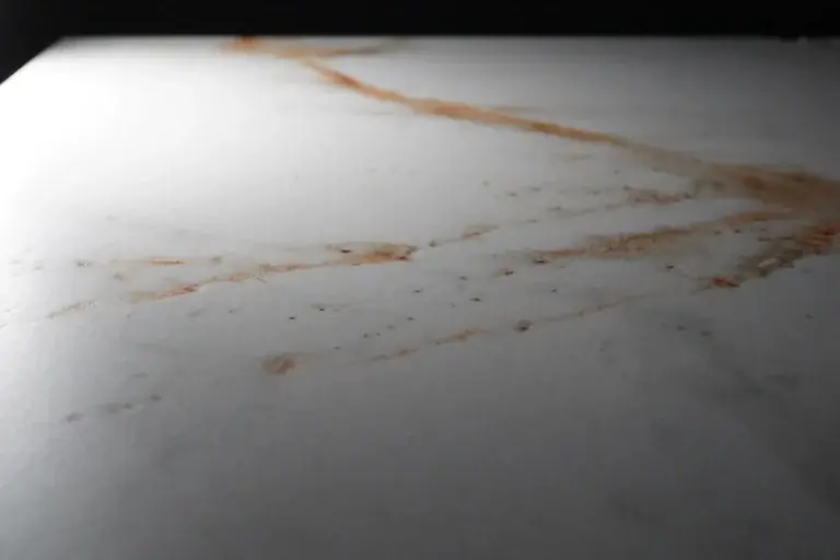 Lucca Gold de Ascale aplicado en un proyecto real — imagen 6