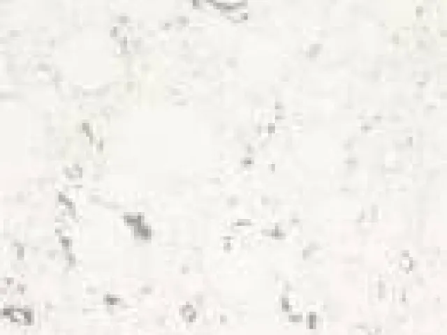 Bianco Rivers — Silestone de Mármoles Ibars