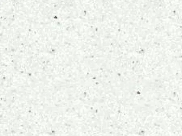 Mont Blanc — Silestone de Mármoles Ibars