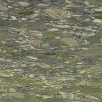 Verde Coto — Levantina