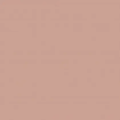 Salmon — Neolith