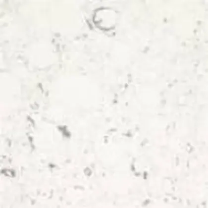 Bianco Rivers — Silestone