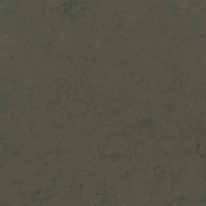 Gris Amazon — Silestone