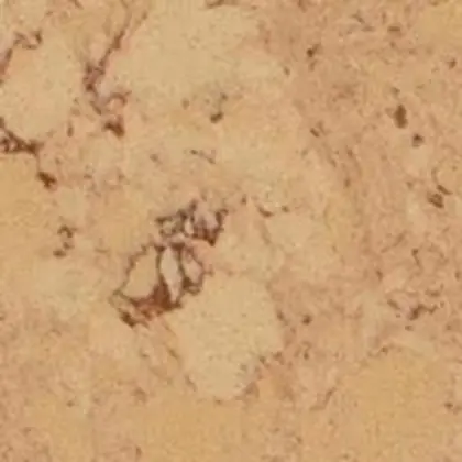 Nile — Silestone