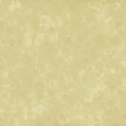 Tigris Sand — Silestone